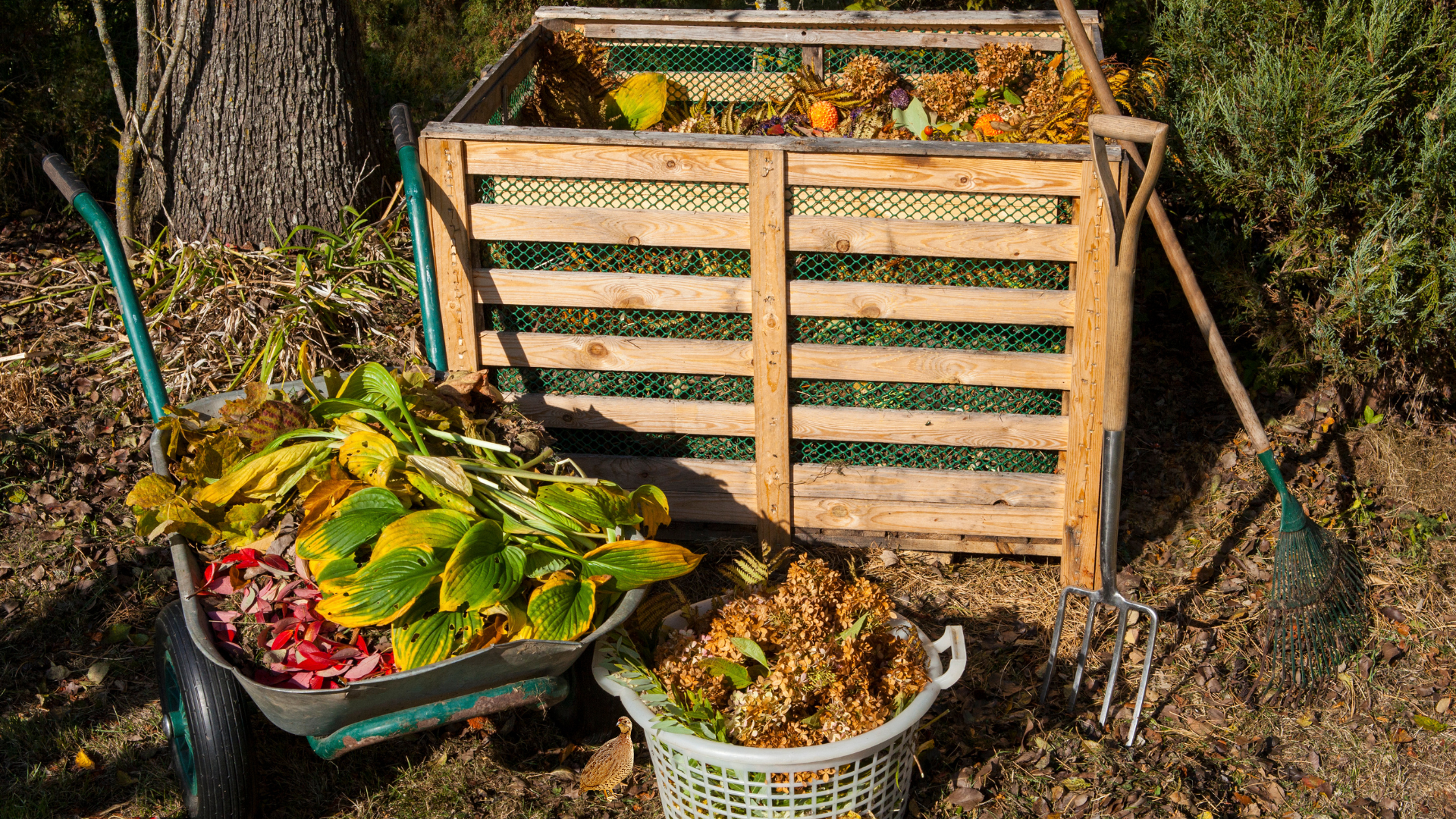 Embracing the Seasons: Composting Through the Year