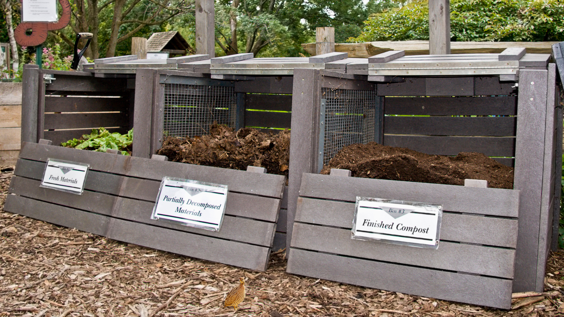 Setting Up Your Composting Haven