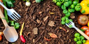 A vibrant compost pile with vegetables and garden tools.