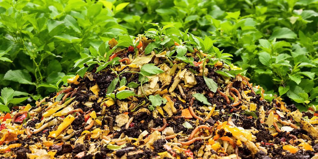 Colorful compost pile with organic materials and greenery.