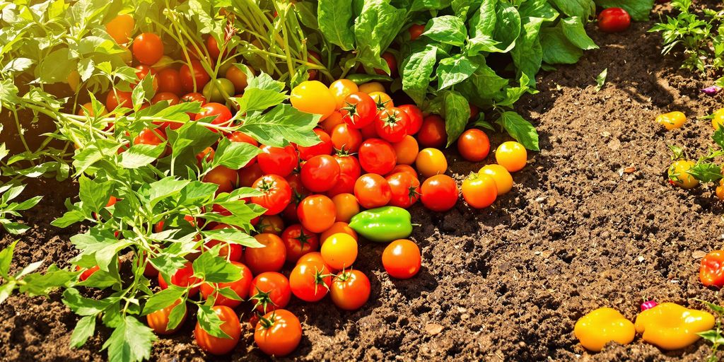 Colorful assortment of fruits and vegetables in a garden.